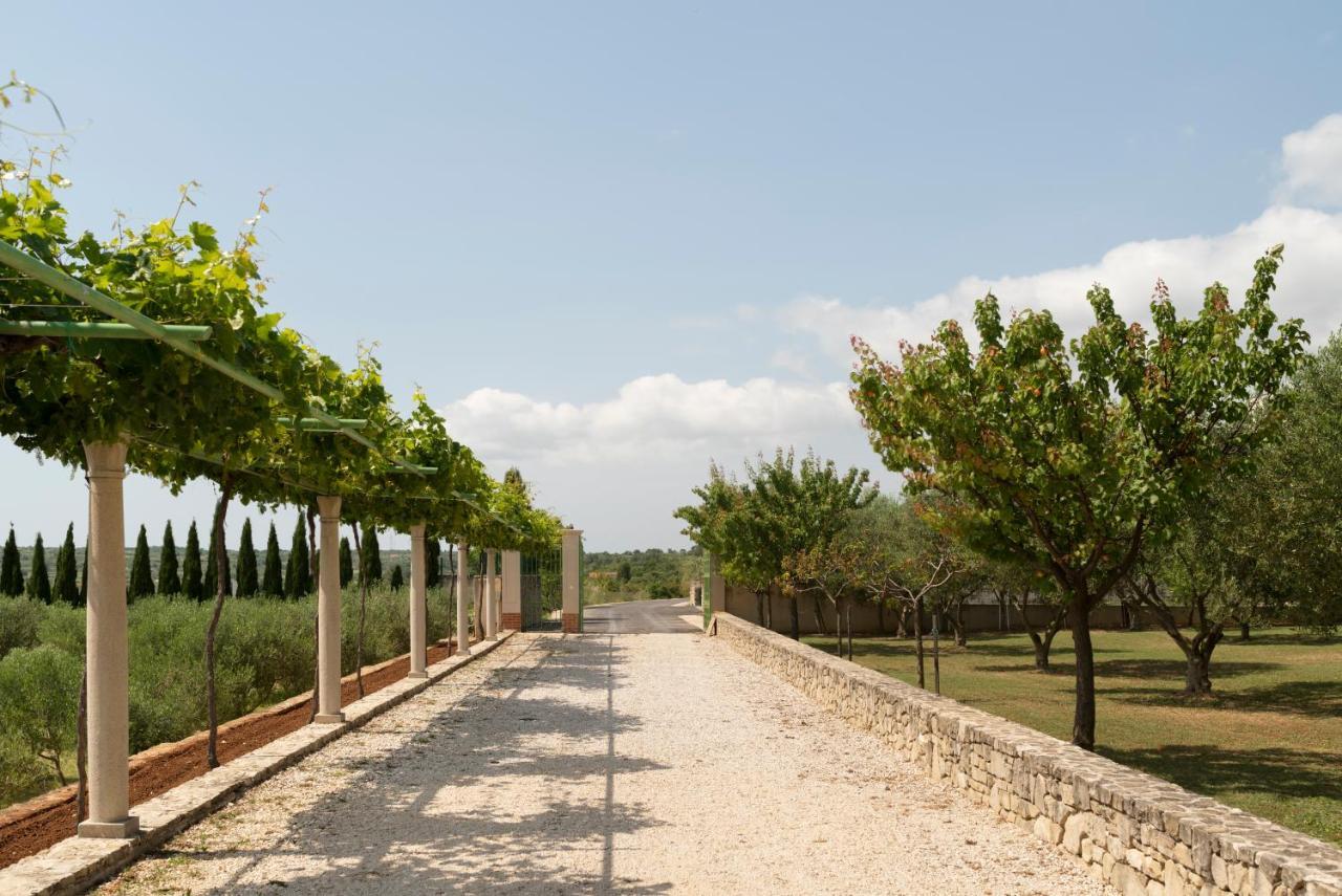 Villa Albina & Domenica Zadar Exteriör bild