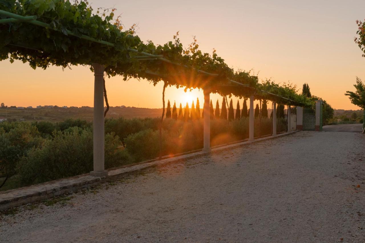 Villa Albina & Domenica Zadar Exteriör bild